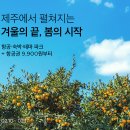 있다마켓 이미지