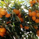 소명 행정사사무소 이미지