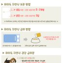 하이독 이미지