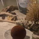 커피&디저트 이미지