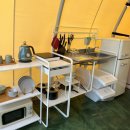 스테이그린 이미지