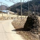 소전1리 이미지