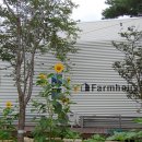 예림이네민박 이미지