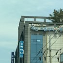 서산 정통오케타니/ 가슴마사지후기 모유육아상담실 모유수유 젖몸살 단유