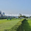 달서대로,서재로 이미지