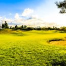 TOP스크린골프존 이미지