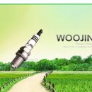 우진공업(주) Daum카페