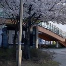 칠곡보사업소 이미지