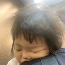 화정아동병원 | 17개월아기 지긋지긋한 코감기 그리고 비염 병원 오픈런 화정아동병원 방문후기