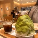 카페Macha | 오사카 자유여행 난바역 말차빙수 카페 맛집 MACHA HOUSE 내돈내산