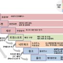 주영호 카카오 검색결과