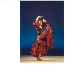 송연희 Flamenco 프로파일 이미지