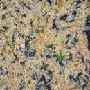 새마을금고 건너편 이미지