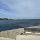 포항더엘리트독채키즈풀빌라 이미지