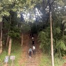 (주)진도예가 이미지