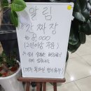 천석반점 | [대전 천동] 천석반점 후기