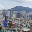 부산서중학교 이미지