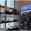 도그마루 천안지점 이미지