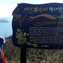 통영시 쪽빛감성학교 창립1주년 기념 2020년 캘리그라피 김흥국 초대전 작가는 욕지도고구마 욕지도모노...
