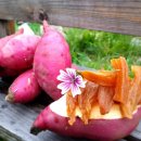 하영농장 이미지