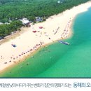 안목커피거리카라반캠핑 이미지