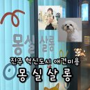 쏘스윗펫살롱 | 진주애견미용 혁신도시 강아지 미용잘하는 곳 몽실살롱