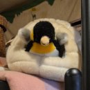 0909-0011 | 커리 앤 카페 펭귄스(Curry &amp; Cafe PENGUINS')에서 우치팡(うちパン)까지 갔는데..