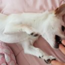 동석농장 이미지