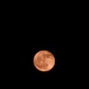 힐링인더삽교 이미지