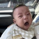 소박한상 | 경복궁 구월점 백일상차림, 쌍둥이 백일잔치 가족식사 후기