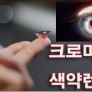 대한안경콘택트 이미지