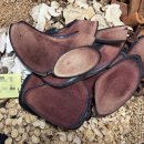 나비온한의원 이미지