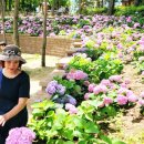 구민운동장(공중) 이미지