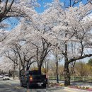 뼈나루감자탕대곡역점 이미지