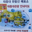 영도구-24 한성맨션버스정류장앞 | 부산여행 태종대전망대 영도등대 해녀촌 위치 시간 주차 다누비열차 탑승후기