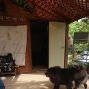 모둘자리 | 홍천 모둘자리 후기