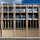 Refine dog 이미지