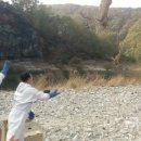 경북야생동물구조관리센터 이미지