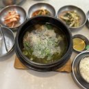 진주냉면 | 부산 남구 맛집 대연동 진주냉면 육전 냉면