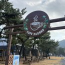 어은돌 바다여행 | 내돈내산 태안 어은돌 바다뷰 대형카페식물원 감성 파도로카페 솔직 후기