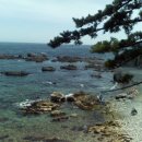 티파니펜션 이미지