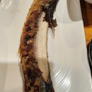 보문단지현지인맛집 맷돌순두부 해물파전 필수