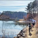 해맞이농장 이미지