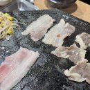 돼지랑돌이랑 이미지