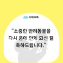 사하구-26 이미지