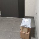 호박마켓 | [마켓컬리] 창억떡 호박인절미 후기｜냉동보관·맛·가격 솔직 리뷰 (내돈내산)