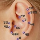 하루한번
