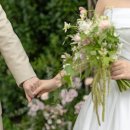 떳다큐노래연습장 | [셀프웨딩준비]누아주가든 결혼식 후기(장문주의+업체목록)