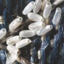 오송팜㈜ 이미지