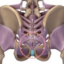 온세한의원 이미지